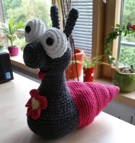 20170703_062001-800x847