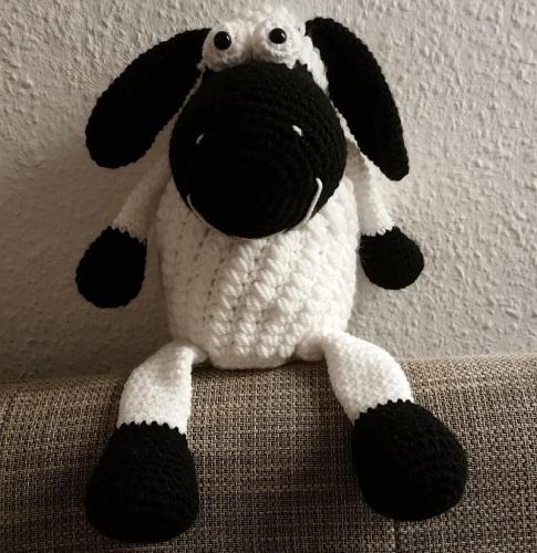 20171221_225031-800x824