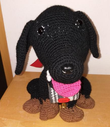 20181025_060529-800x917