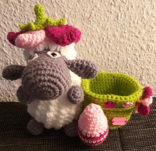 20190124_201617-800x772