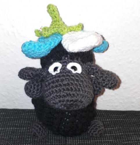 20190129_222704-800x829