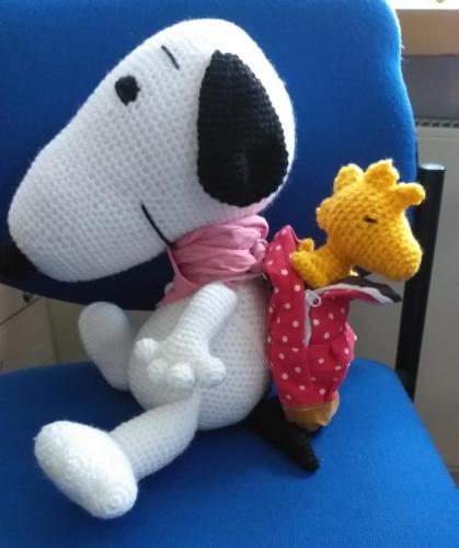 20190628_060713-800x955