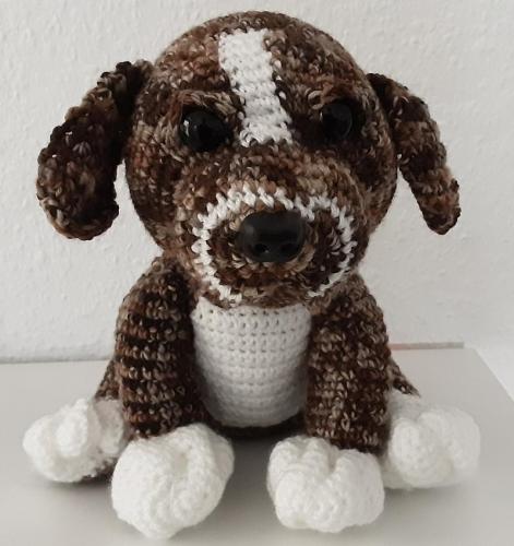 20190721_194922-800x850