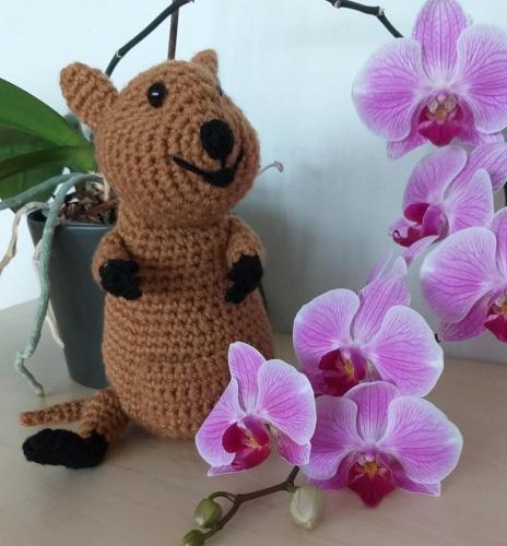 20200415_070848-800x862