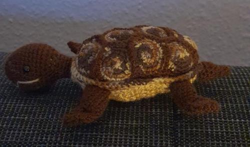 20201111_203453-scaled-800x472