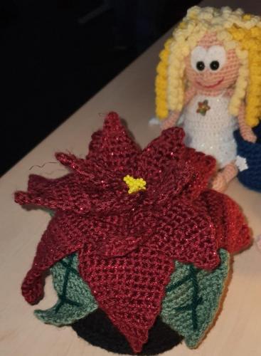 20201210_065512-scaled-800x1090