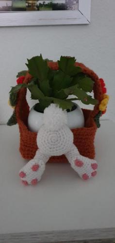 20210207_165141-800x1690