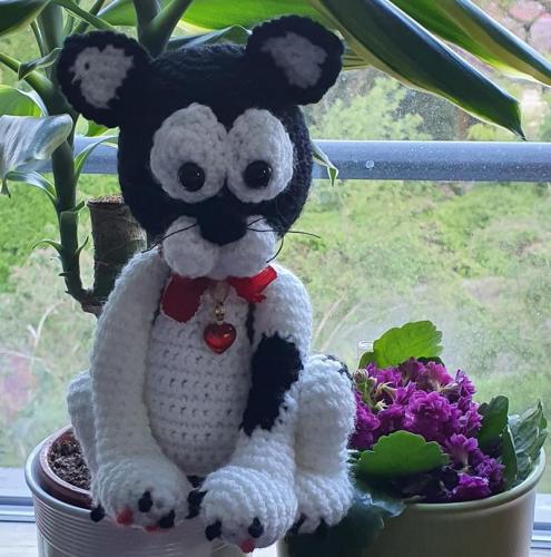 20210525_061103-800x808