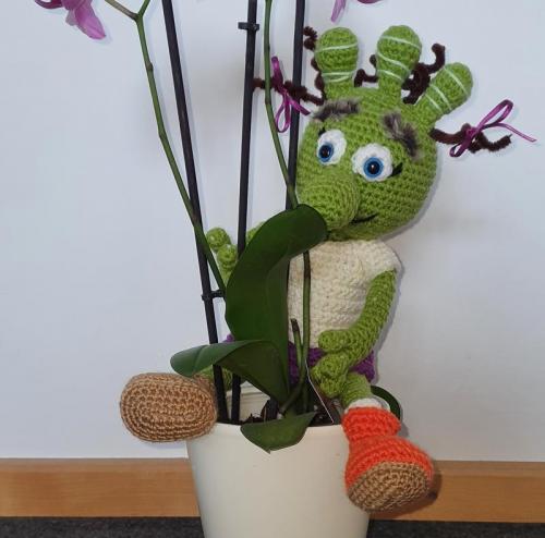 20210830_080829-800x790