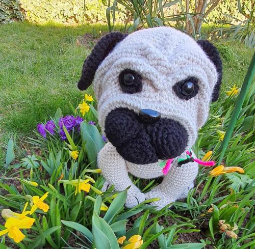 20220311_160737-800x783