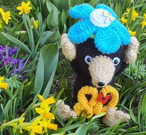 20220313_161834-800x739