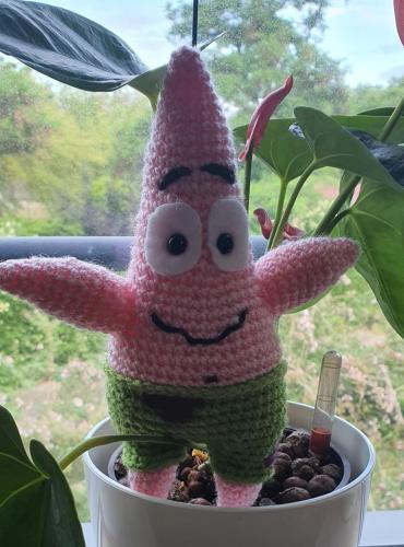 20220608_070059-800x1082