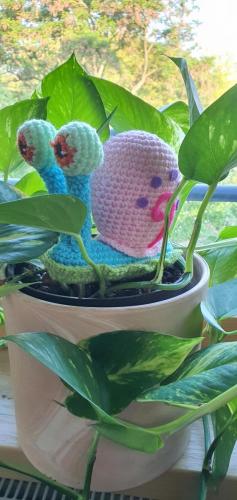 20220610_065241-800x1690