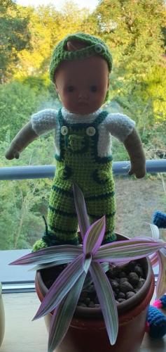 20220808_072043-800x1690