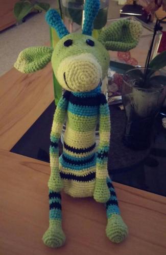 IMG-20160418-WA0000-800x1233